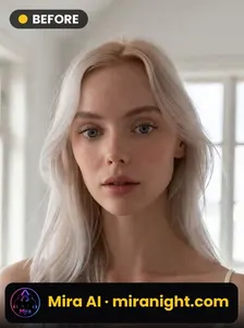 Veil — the input photo used for the example